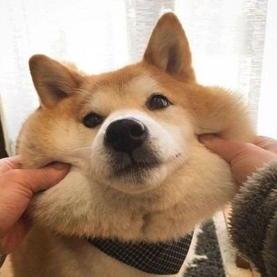 phaiza555's profile picture. 