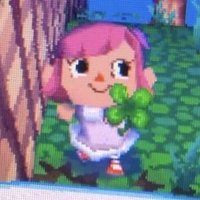 🍀 (@ccl0v3r) 's Twitter Profile