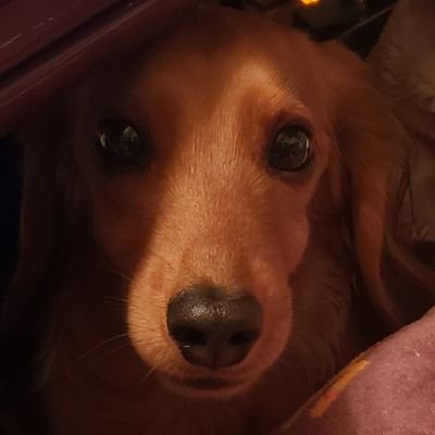 誠さんのプロフィール画像
