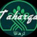 Taharqa (@taharqa122) Twitter profile photo