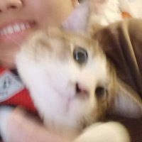 หอมแดงคือแมวสันโดษ (@pppp9577) 's Twitter Profile