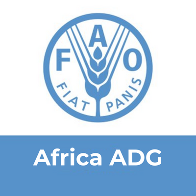 @FAO Assistant Director-General and Regional Representative for Africa. 
@FAOAfrica
Follow our DG QU Dongyu, @FAODG.