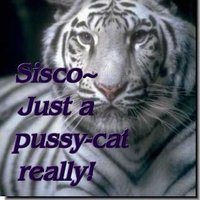 🔶️Sisco #1DDrive 113k🔶️ (@siscomgwv) 's Twitter Profile