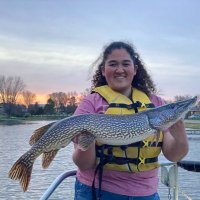 Alexis Gerber (@alexisgerber02) 's Twitter Profile