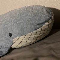 イッセー (@wiz2player) 's Twitter Profile