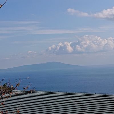 wr31338's profile picture. 