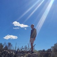 LH (@lh_bulliknut) 's Twitter Profile