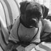 CECILIA GIMENEZ (@anacecilia1107) Twitter profile photo CECILIA GIMENEZ (@anacecilia1107) Twitter profile photo