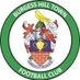 Burgess Hill Town FC (@Official_BHTFC) Twitter profile photo