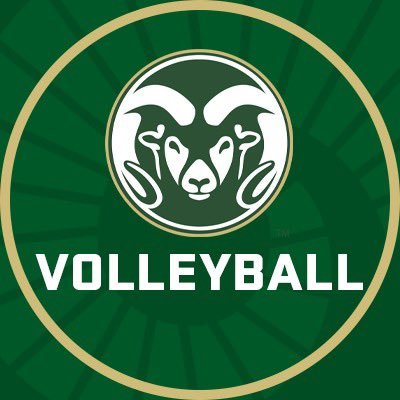 Colorado State Volleyball Profile