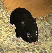 CotorrosDragons's profile picture. una cuenta para la campaña creada por los jugadores: @BoxLessOBV, @1Ncfen, @DanteHFDL y @megaAn_u3u y el dungeon master: @CubirikDaJello