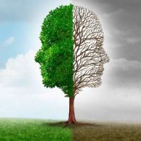 Flor Maria🌳🌳🌳 (@flormar91839709) 's Twitter Profile Photo Flor Maria🌳🌳🌳 (@flormar91839709) 's Twitter Profile Photo