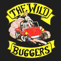 Wild Buggers Beach Buggy Club(@Antonkleyn) 's Twitter Profile Photo