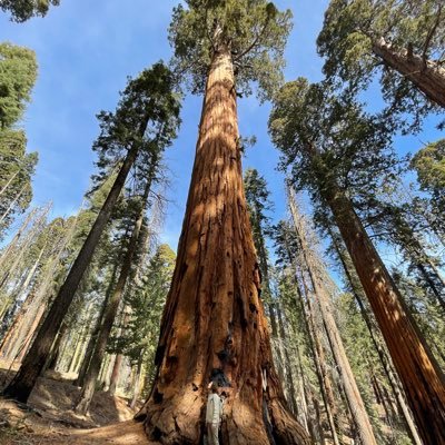 finboned's profile picture. 