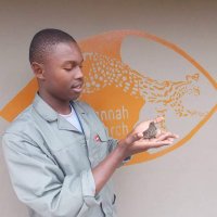 Mnqobi Lifa Mamba 🇸🇿 (@mnqobimamba) 's Twitter Profile