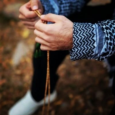 shyn30620861's profile picture. Mahabad 
Tir mahi