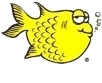 AquariumKeeper's profile picture. Blogging about fresh water aquariums.