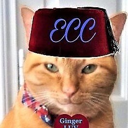 JenniferBMorri2's profile picture. Fabric Colorist & Stylist. Animal rescue enthusiast. Lucky mom to Kitties of Texas-who wish to inspire & admire! RIP beloved Mattie & Jo Elaine #ECC #ERII