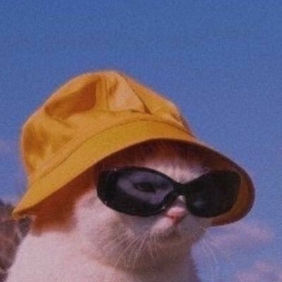 stammilontanooo's profile picture. Passo la mia vita a lamentarmi. Odio 3/4 del mio paesino sperduto e ho creato questo account apposta perché non mi riconoscano 😃