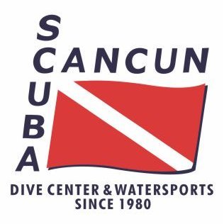 SCUBACANCUN is a family run dive center. We offer dives in Cancun, Cozumel, Cenotes, the Underwater Museum, PADI Courses, beginner courses, referrals etc..