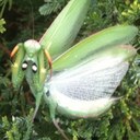 Bret Phillips - @smaksaw - Twitter