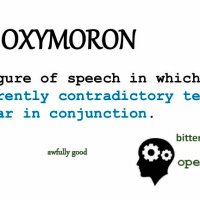 Lills One #StopAllWar|s #NoBorders ⌛️ (@pascalbinomial) 's Twitter Profile Photo