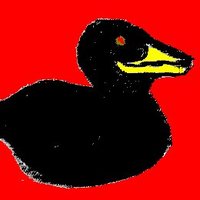pato tolteKa chichimeko (@kosmw1zeq6hanfx) 's Twitter Profile