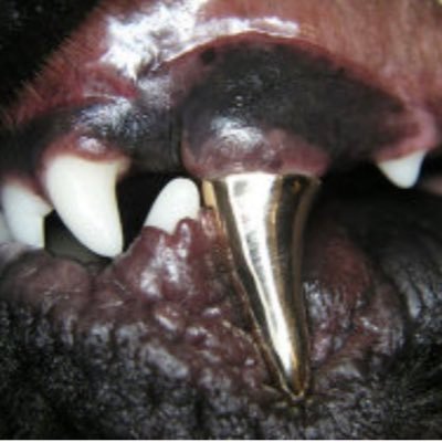 wavegame's profile picture. GraphicDesigner / Engineering