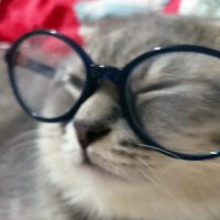 jejooyyyy (@bunyamingungor7) 's Twitter Profile