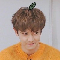 چانیوری پرتغالی🍊ツ (@tanim__pcy) 's Twitter Profile