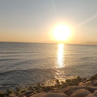 milad (@milad702022) 's Twitter Profile