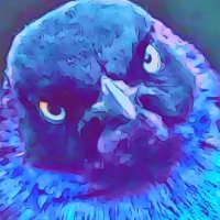 Pretty🤩critical🤔🇺🇦🇮🇷🫶 (@sayitnice) 's Twitter Profile
