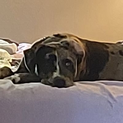 kathy_donald's profile picture. Have two dogs that are my babies.  On here to make firends and hang out. Love to read and watch tv, cook, shopping of course all the usual.