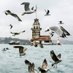 Sasi topal (@mehmet_topal_53) Twitter profile photo Sasi topal (@mehmet_topal_53) Twitter profile photo