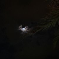 Asrar (@iiqxx20) 's Twitter Profile Photo