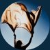  حـصـة السـعـدون🍃 (@hessah1331) Twitter profile photo حـصـة السـعـدون🍃 (@hessah1331) Twitter profile photo