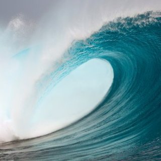 DianeR0960's profile picture. Always been a Democrat. Now that I'm retired, I have more time to learn what is really going on and I get bluer every day.