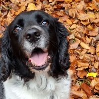 Kerry (@kerryjones45) 's Twitter Profile Photo