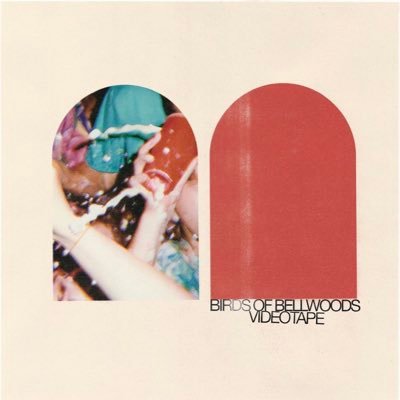 Fan Account/Hype Team for @Birdsbellwoods | Welcome to the Flock | STREAM 🚨 EVERYTHING YOU WANT🚨 https://t.co/05Vi58xmIA 🚨