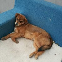 JERRY (@jerry202212) 's Twitter Profile