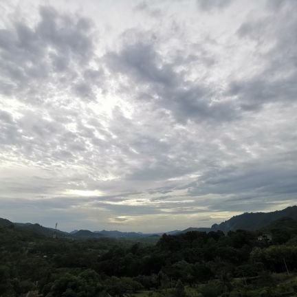 EidCypto's profile picture. 