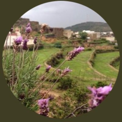 gnobeh400's profile picture. يالجنوب انت ذاتي ومسكنك في فوادي