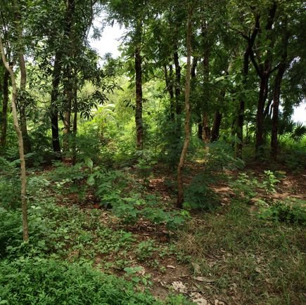 Aradunme's profile picture. 