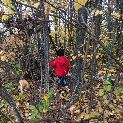 NotWokeWife's profile picture. Just your average concerned Mom