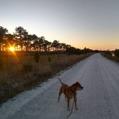 onelostsoul5's profile picture. Just a woman made from broken pieces