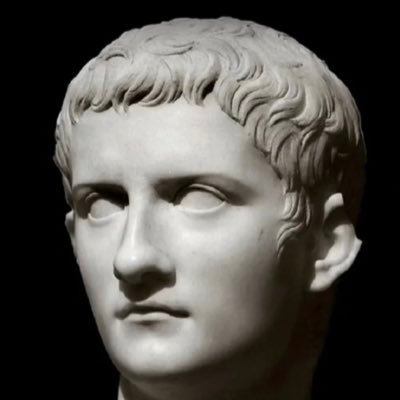. Incitatus is smarter than you. Not an advisor but property of New age trends LLC now PBM for market awareness only.