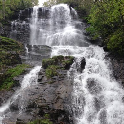 ToyDude's profile picture. Guardian of the Rites | Keeper of the Flame | Minder of the Traditions