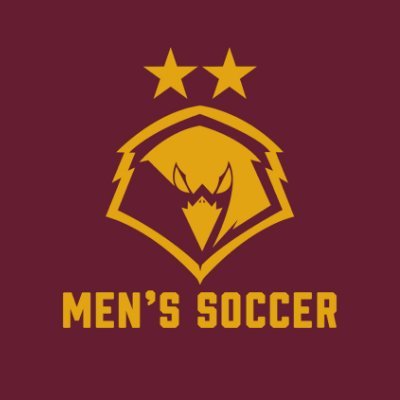 University of Charleston Men's Soccer