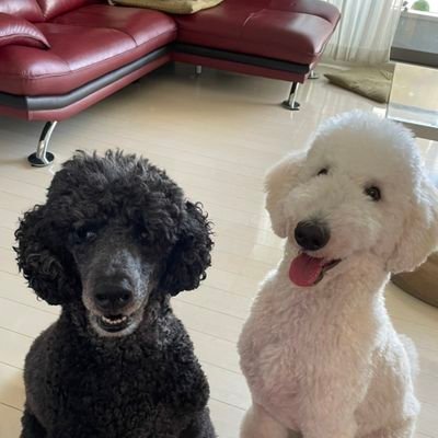 pro_cacao's profile picture. 資金５８万からスタート。将来に向けてこつこつ頑張ります。