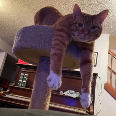 Nick Ostrem Profile
